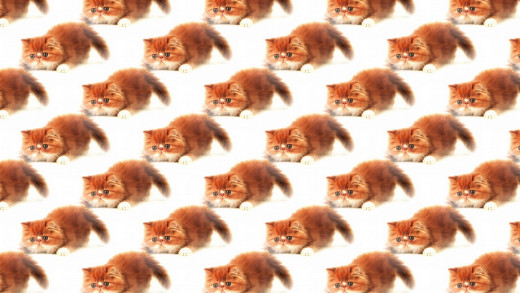 1369281 (a): :1920x1080